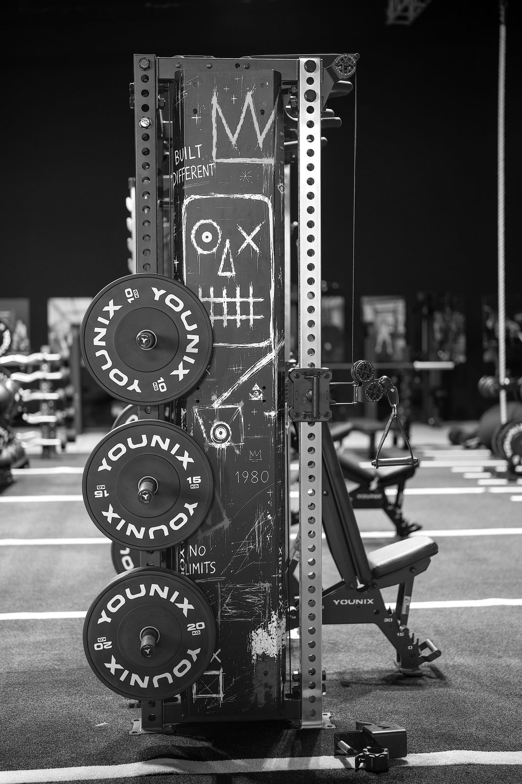 A finished Younix Complete Gym