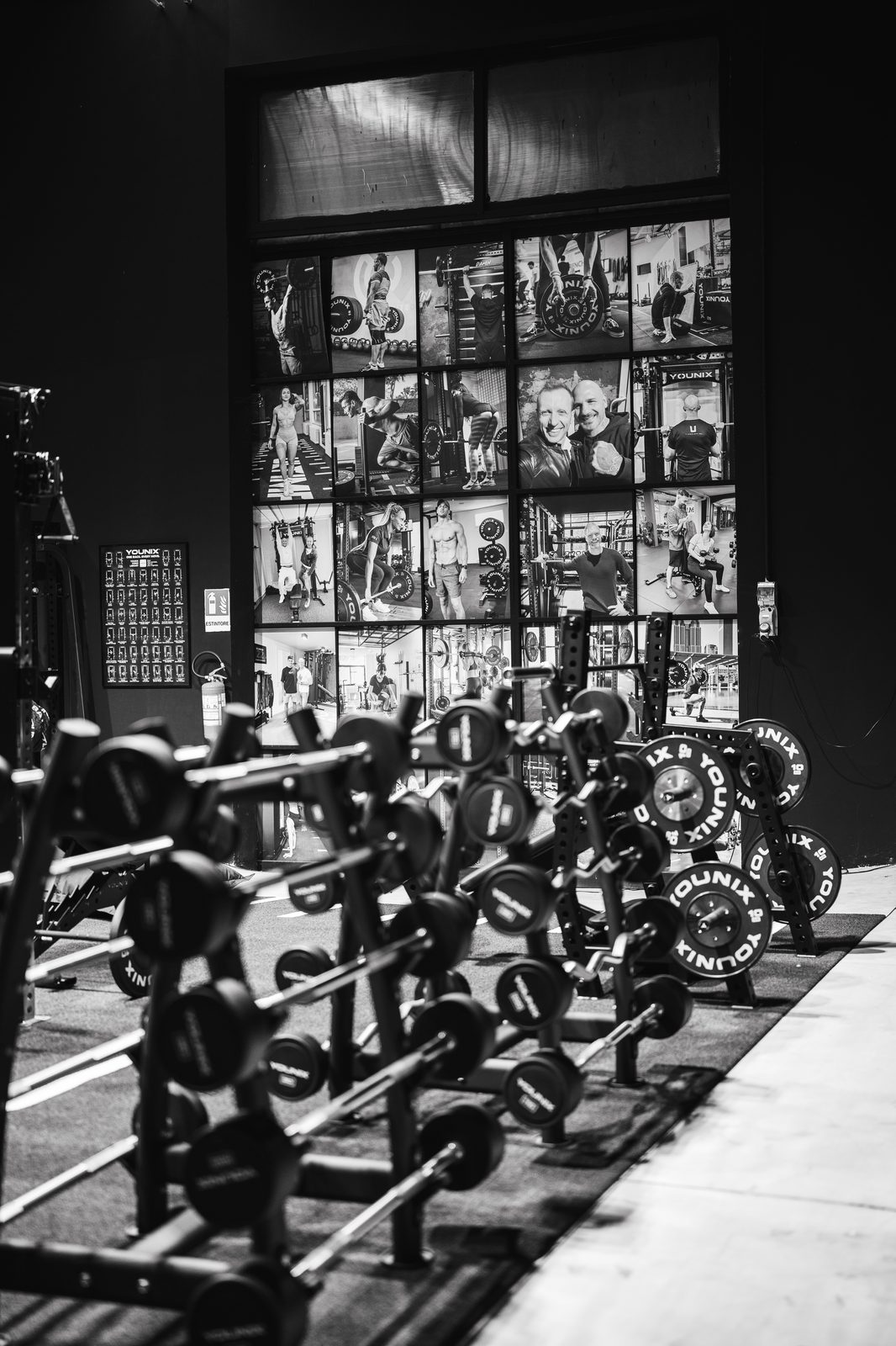 Younix Complete Gym — photo 8