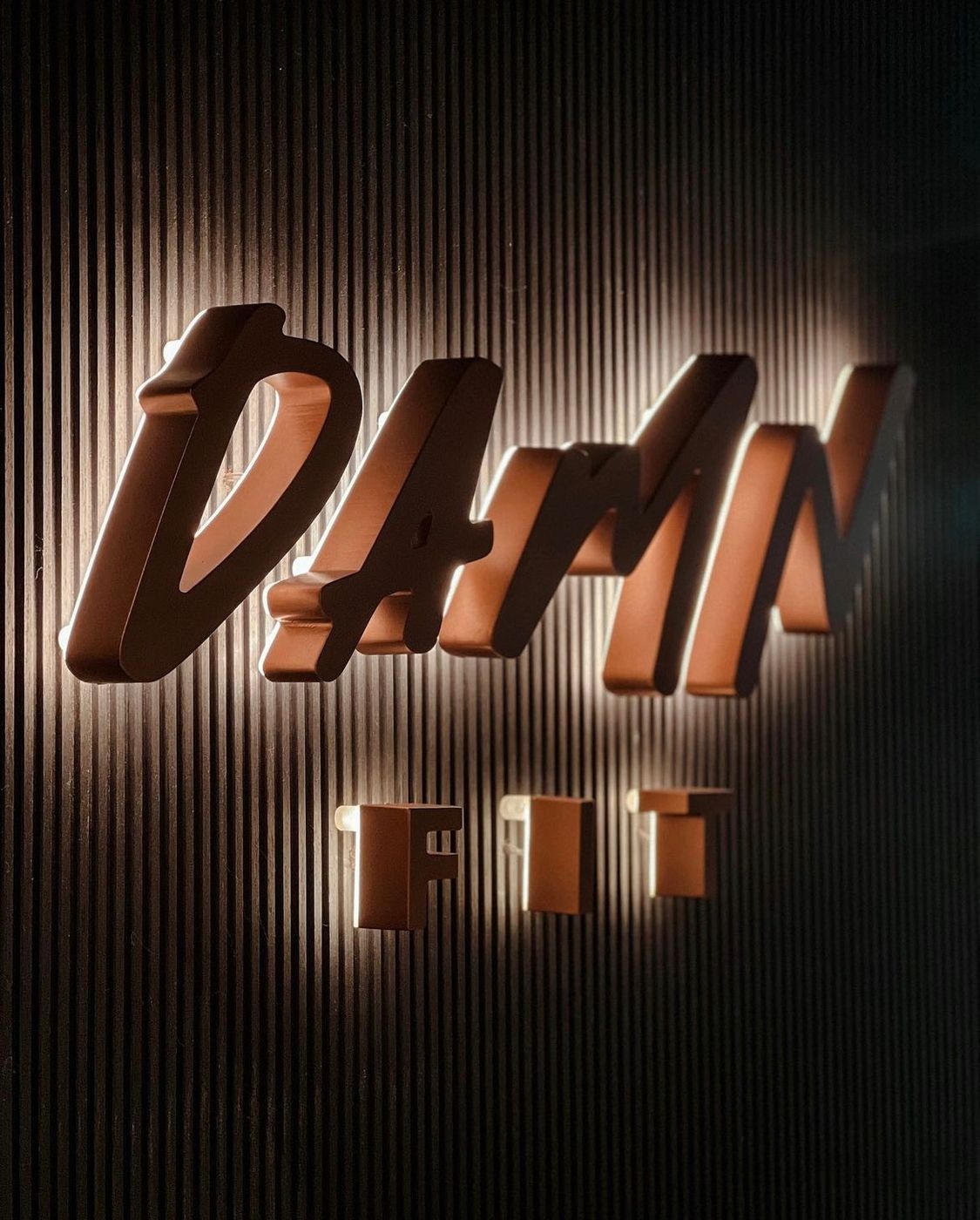 Damn Fit — photo 5