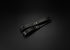 LEATHER TRICEPS STRAPS